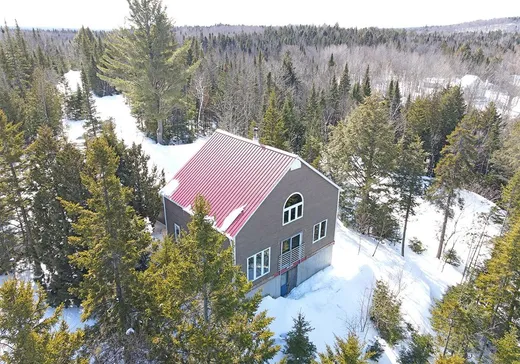 Maison à vendre - 51 Ch. du Lac-Hamelin, Saint-Gabriel, J0K 2N0