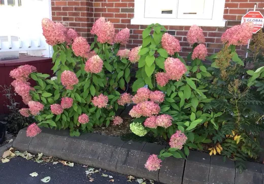 House for sale - 2867 Rue Lawrie, Jonquière, G7S 2C3