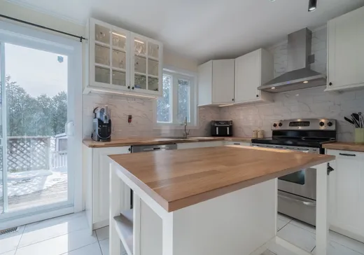 House for sale - 166 Rue Ruth, Mont-Saint-Hilaire, J3H 1A5