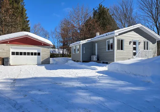 Maison à vendre - 110 Rue Arthur-Fecteau, Shawinigan, G0X 1L0