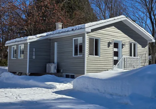 Maison à vendre - 110 Rue Arthur-Fecteau, Shawinigan, G0X 1L0