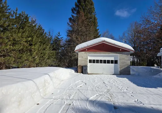 Maison à vendre - 110 Rue Arthur-Fecteau, Shawinigan, G0X 1L0