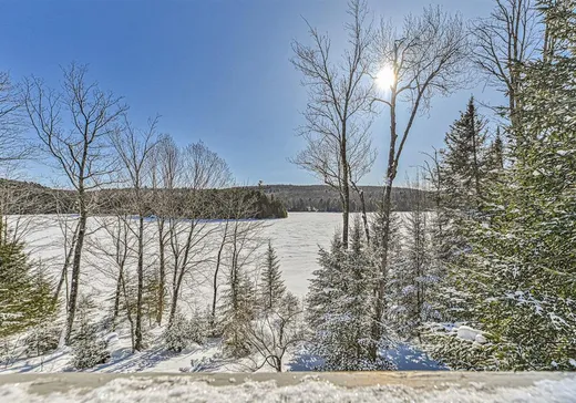 House for sale - 650 Ch. des Lacs, Wentworth, J8H 0A2