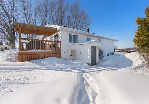 Hobby Farm for sale - 39Y Ch. du Pinacle, Danville, J0A 1A0