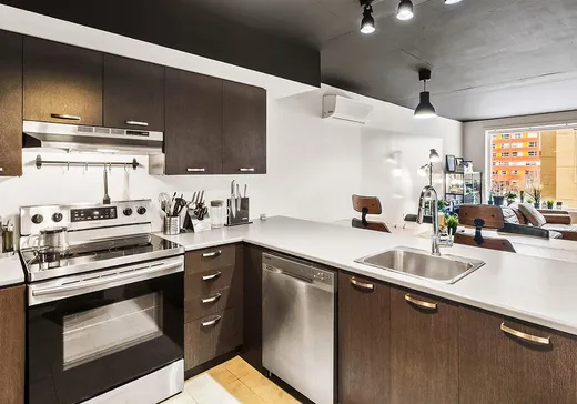 Condo à vendre - 1606 Rue Ottawa, App. 305, Montréal (Centreville), H3C 0V7
