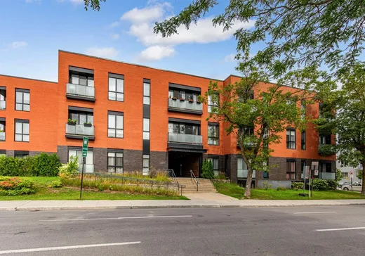 Condo à vendre - 3311 Boul. St-Joseph E., App. 321, Montréal (Rosemont–La Petite-Patrie), H1X1W3
