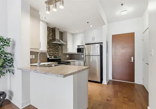 Condo à vendre - 3311 Boul. St-Joseph E., App. 321, Montréal (Rosemont–La Petite-Patrie), H1X 1W3