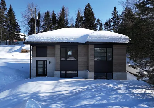 Maison à vendre - 8A Rue Clavet, Sainte-Brigitte-de-Laval, G0A 3K0