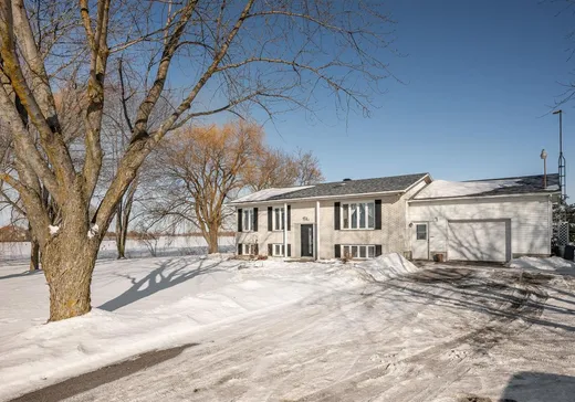 House for sale - 1331 Ch. de la Grande-Ligne E., Notre-Dame-de-Stanbridge, J0J 1M0