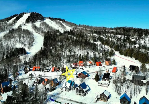 Paliers multiples à vendre - 133 Ch. des Avalanches, Lac-Etchemin, G0R1S0