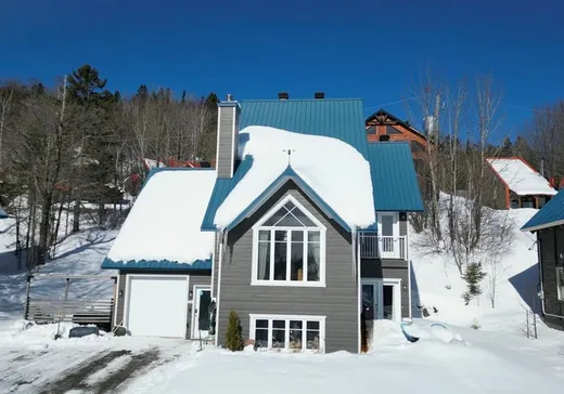 Maison à vendre - 133 Ch. des Avalanches, Lac-Etchemin, G0R 1S0