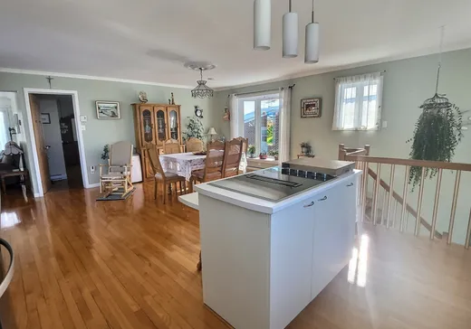 Maison à vendre - 29 Rue St-Louis, Matapedia, G5J 2Z9