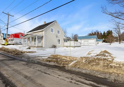 Maison à vendre - 550 Av. Principale, Saints-Anges, G0S 3E0