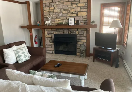 Condo for sale - 185 Rue du Mont-Plaisant, App. 1, Mont-Tremblant, J8E 1L2