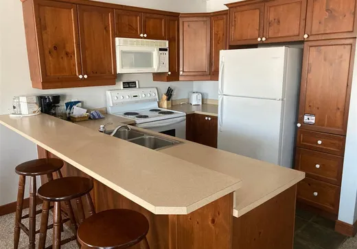 Condo for sale - 185 Rue du Mont-Plaisant, App. 1, Mont-Tremblant, J8E 1L2