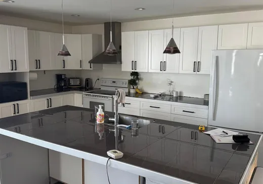 House for sale - 121 Rue Cantin, Trois-Rivières, G9B 7R1