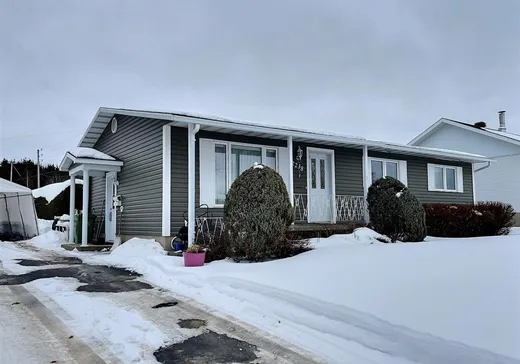 House for sale - 2238 Rue des Violettes, Plessisville, G6L 2Z5