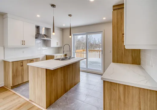 House for sale - 117 Rue Simoneau, Lyster, G0S 1V0