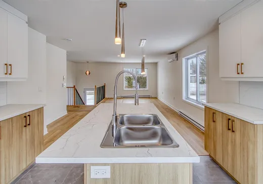 House for sale - 117 Rue Simoneau, Lyster, G0S 1V0