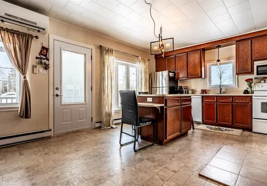 House for sale - 591 Route 349, St-Alexis-Des-Monts, J0K 1V0