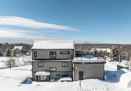 House for sale - 8 Rue des Cascades, Eastman, J0E 1P0