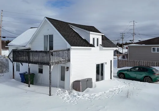 Maison à vendre - 376 Rue Jacques-Cartier, Moisie, G0G 2L0