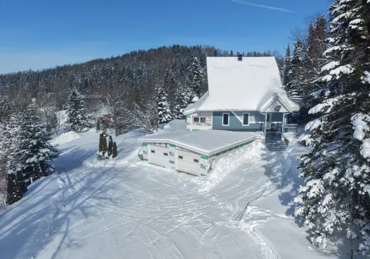 House for sale - 177 Route du Moulin, Les Mechins, G0J 1T0