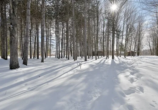 House for sale - 516Z Mtée des Pins, Upton, J0H 2E0