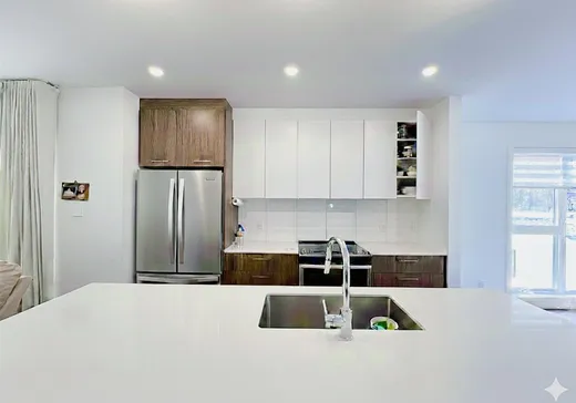 Maison à vendre - 2307Z Rue Wilfrid-Reid, Montréal (Saint-Laurent), H4R 0R2