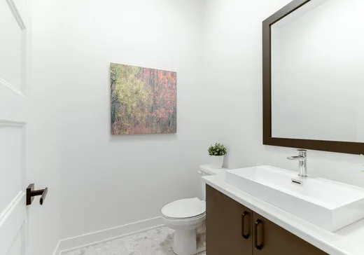 House for sale - 117 Rue du Canal, St-Louis-De-Gonzague, J0S 1T0