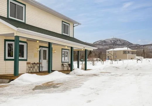 Maison à vendre - 304 Ch. George-Bonnallie, Eastman, J0E 1P0