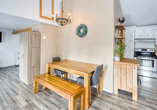 Maison à vendre - 27 Ch. Bouchard, Notre-Dame-de-Ham, G0P 1C0