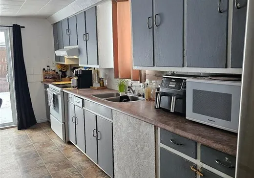 House for sale - 274 Rue Roberge, St-Joseph-De-Coleraine, G0N 1B0