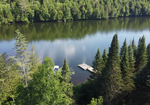 Maison à vendre - 73 Ch. du Lac-Mallonne, Lac-du-Cerf, J0W 1S1