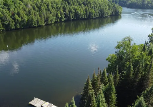 Maison à vendre - 73 Ch. du Lac-Mallonne, Lac-du-Cerf, J0W 1S1