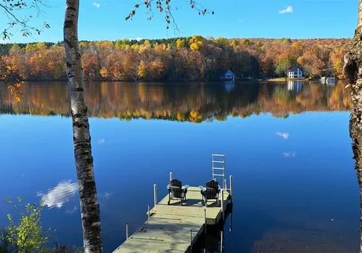 Maison à vendre - 101 6e avenue du Lac-Croche S., Ste-Thecle, G0X 3G0