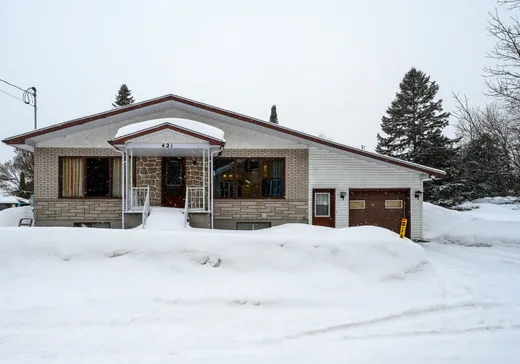 Maison à vendre - 421 Rue St-Jean, Saint-Édouard-de-Maskinongé, J0K 2H0