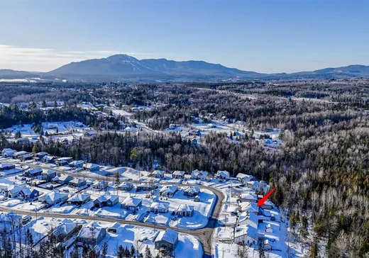 House for sale - 289 Rue des Genévriers, Orford, J1X 8B7