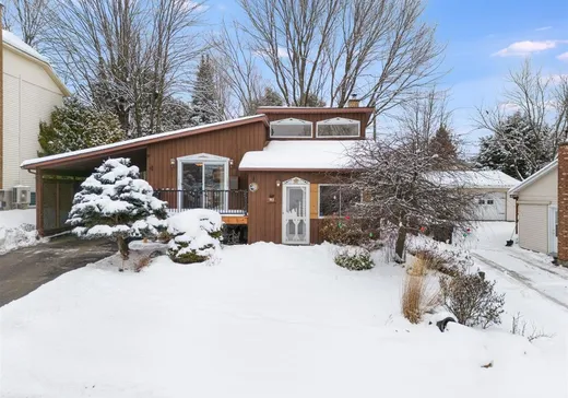 Maison à vendre - 743 Rue Francheville, Sherbrooke, J1N 2N8