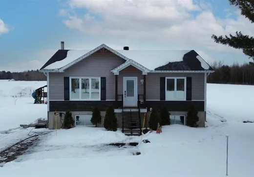 Fermette à vendre - 417 Rg du Bord-de-l'Eau O., Massueville, J0G1K0