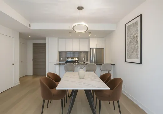 Condo à vendre - 1400 Rue Ottawa, App. 309B, Montréal (Centreville), H3C 0Y9