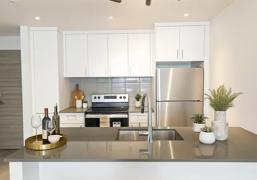 Condo à vendre - 1400 Rue Ottawa, App. 309B, Montréal (Centreville), H3C 0Y9