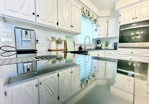 Maison à vendre - 1055 Rue Thierry, Montréal (LaSalle), H8N 1G8