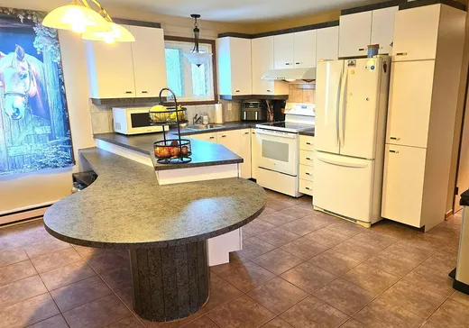 Maison à vendre - 14 Rue Pilon, Godmanchester, J0S 1H0