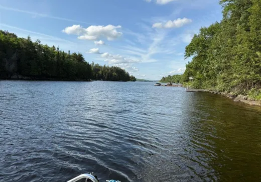 Maison à vendre - 16478 Ch. du Lac-Labelle, Mont-Tremblant, J0T 1H0