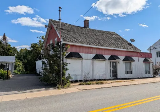 Maison à vendre - 108-110 Rue Ste-Anne, St-Alexis-Des-Monts, J0K 1V0