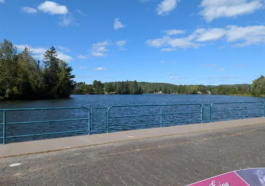 Maison à vendre - 108-110 Rue Ste-Anne, St-Alexis-Des-Monts, J0K 1V0