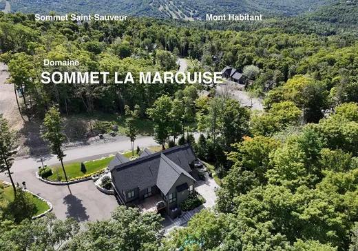 Maison à étages à vendre - 443 Ch. de l'Héritage, Saint-Sauveur, J0R1R4