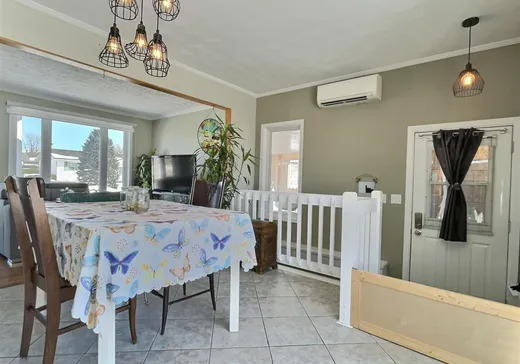 House for sale - 1047 Av. des Bouleaux, Plessisville, G6L 3E7