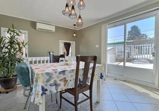 House for sale - 1047 Av. des Bouleaux, Plessisville, G6L 3E7